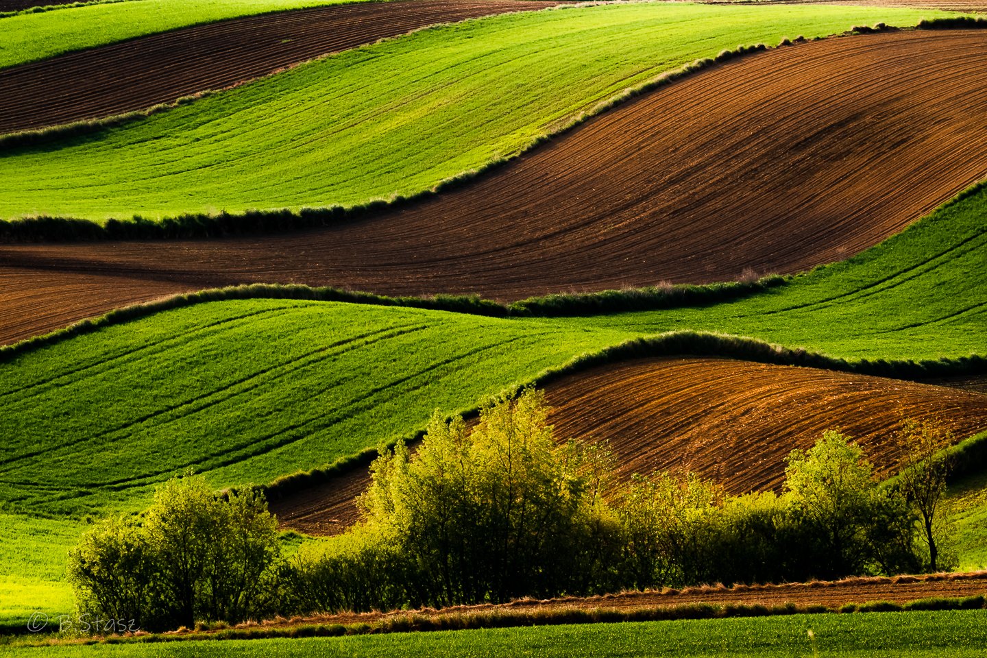 Bogumiła Stasz – fotografia
