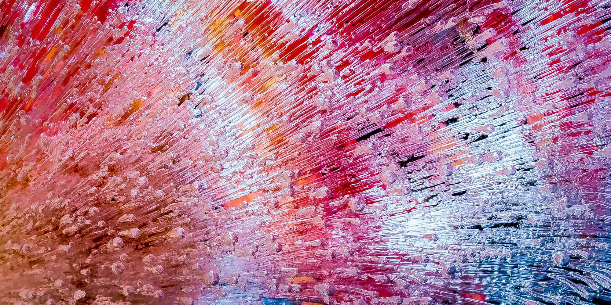 bogumila-stasz-fotografia-1