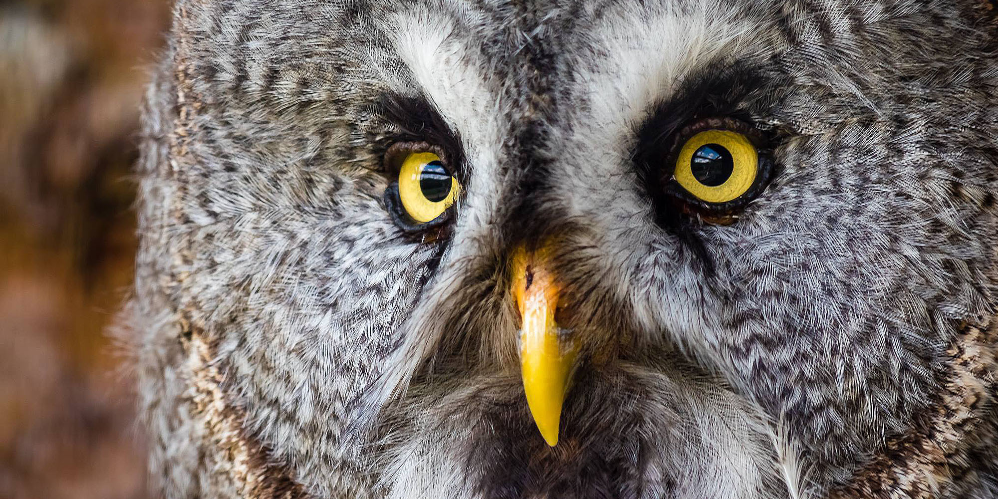 Bogumiła Stasz - fotografia
