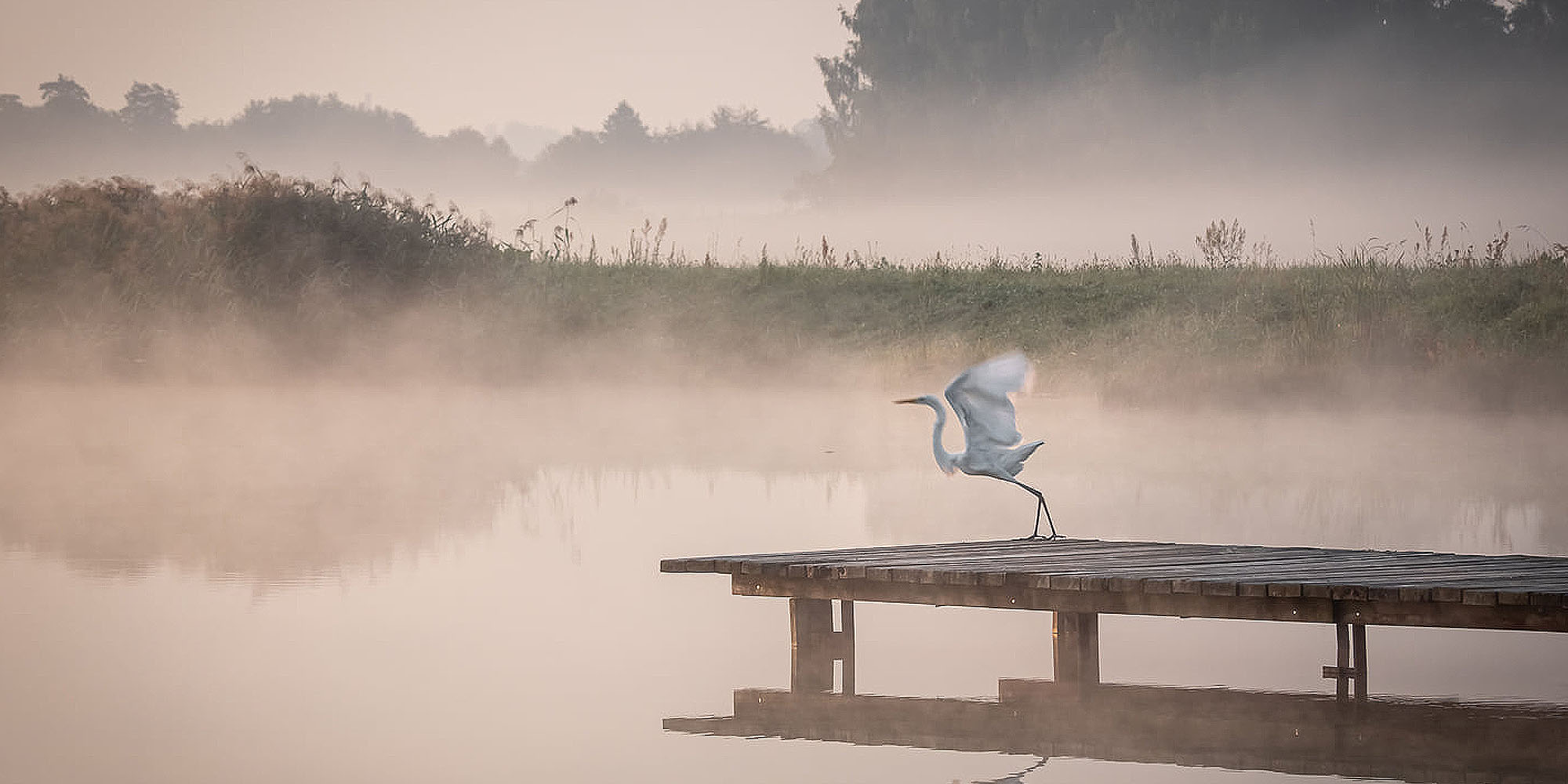 Bogumiła Stasz - fotografia